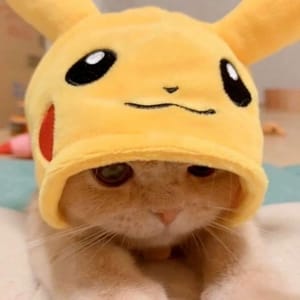 Support Avatar