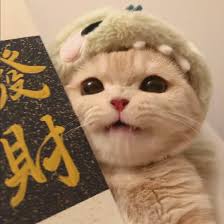 Ảnh đại diện người dùng Minh Tuấn